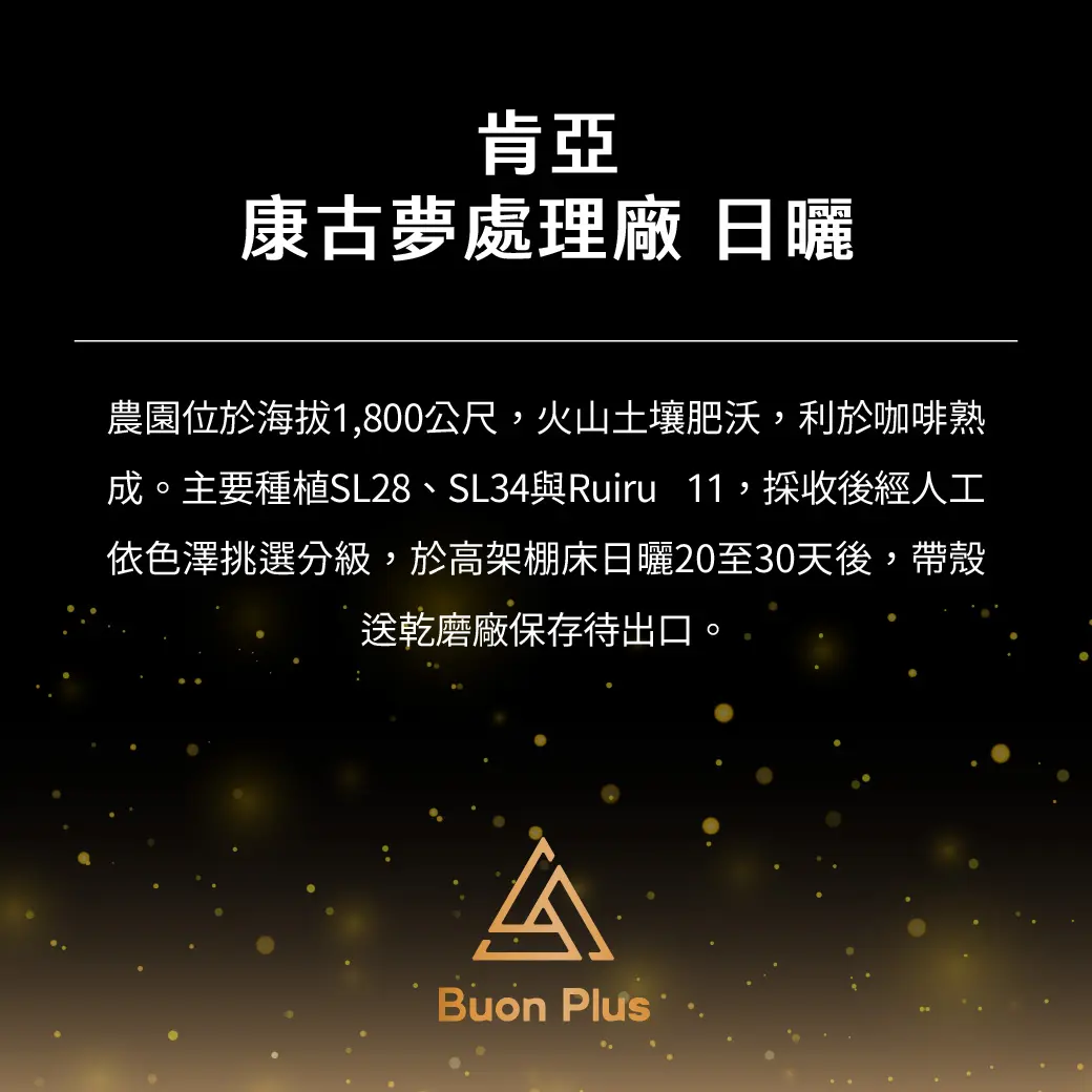 Pakr 產品 Pagl 01 Pakr 產品 Pagl 01