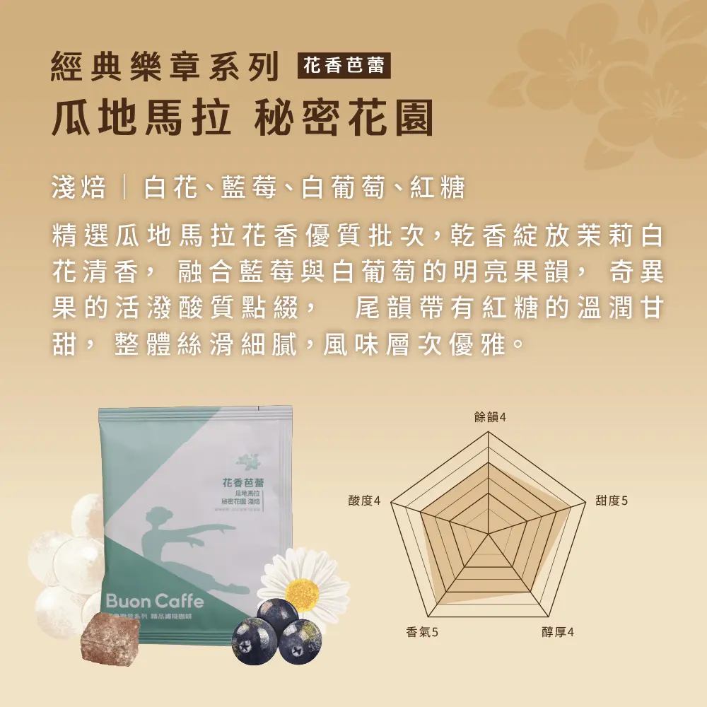 音樂家系列 濾掛 工作區域 1 複本 3 音樂家系列 濾掛 工作區域 1 複本 3
